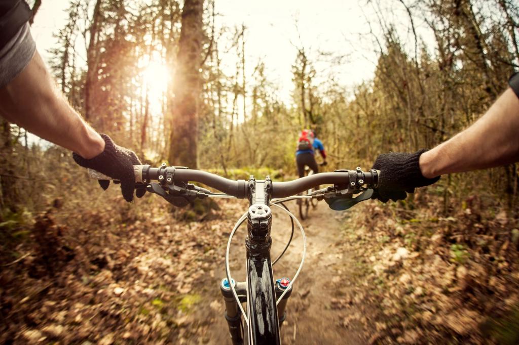 autumn-bike,15108.jpg?WebbinsCacheCounter=1