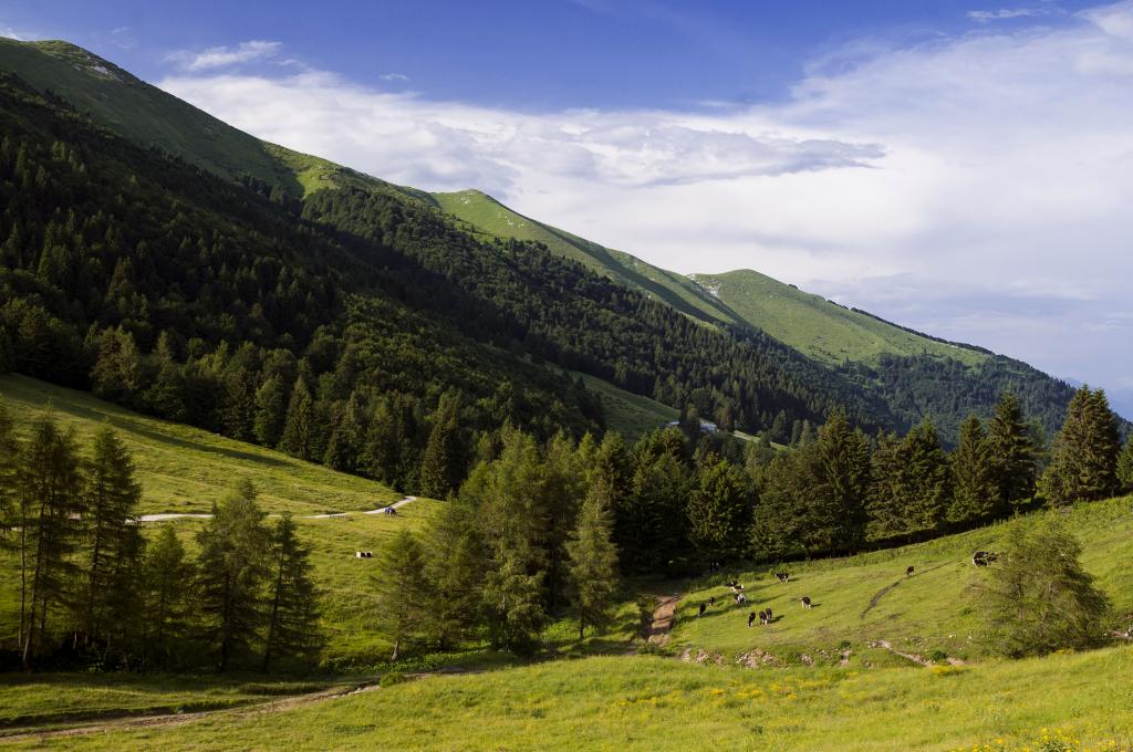 monte-grappa-visita-obbligata-durante-le-tue-vacanze-in-veneto,1109.jpg?WebbinsCacheCounter=1