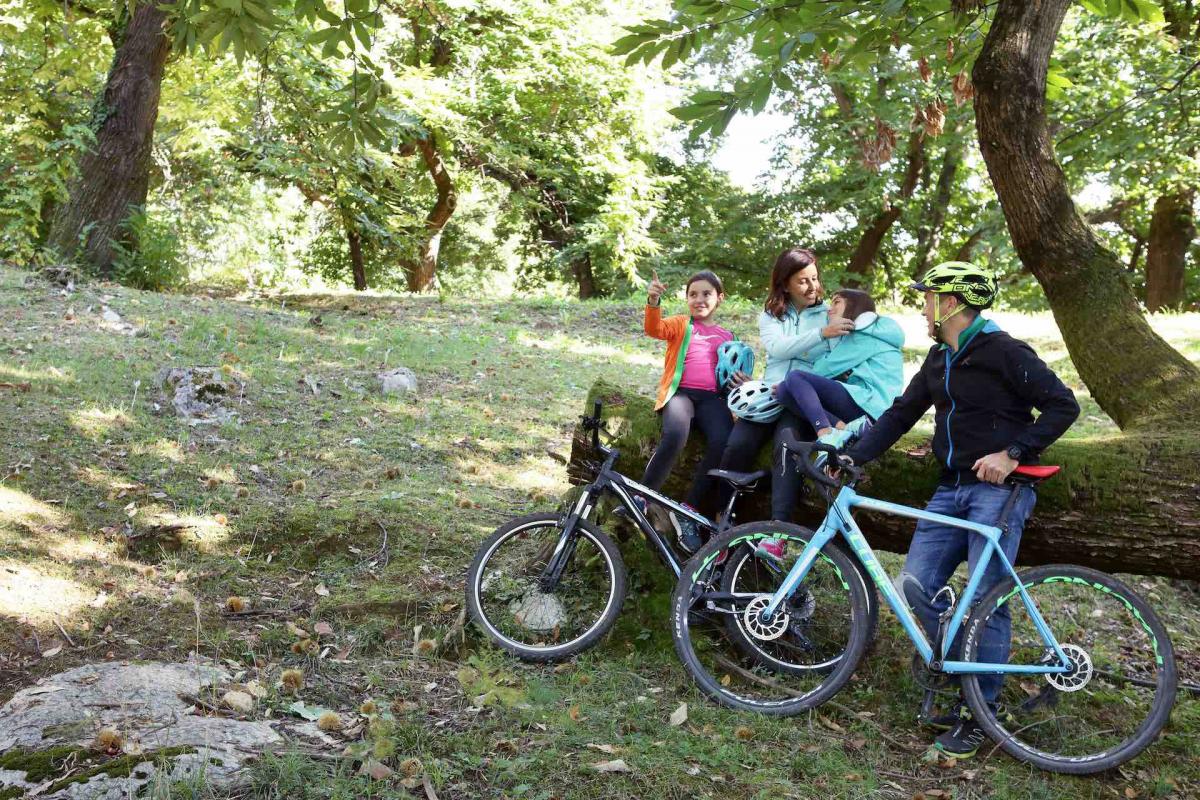 Itinerario in mountain bike sulle Colline del Prosecco durante la tua vacanza in Veneto con i bambini