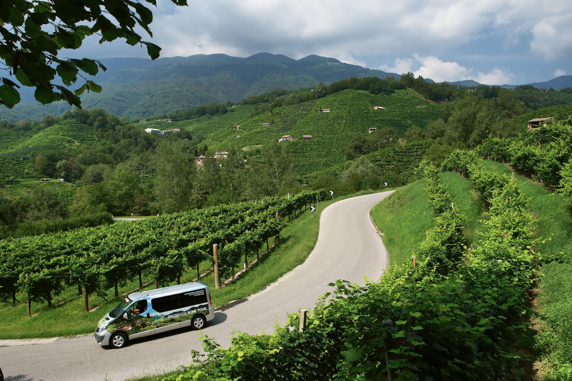 Il Tour del Prosecco in Minivan, Esperienze e Offerte