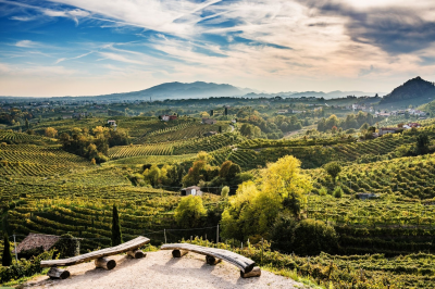 Giornata Regionale Colli Veneti