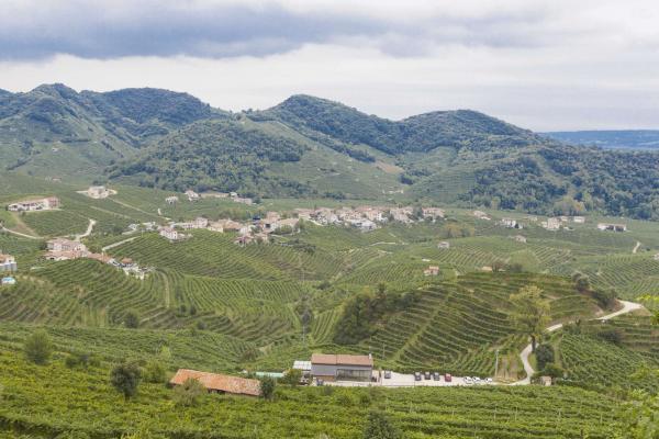 Walking the Prosecco Hills, Trekking the Prosecco Hills, Italy